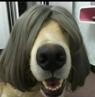 吃瓜新闻爆料海报