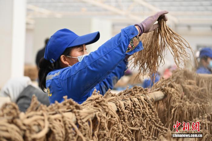 Ggy藏南菩萨(GTV版)_海报