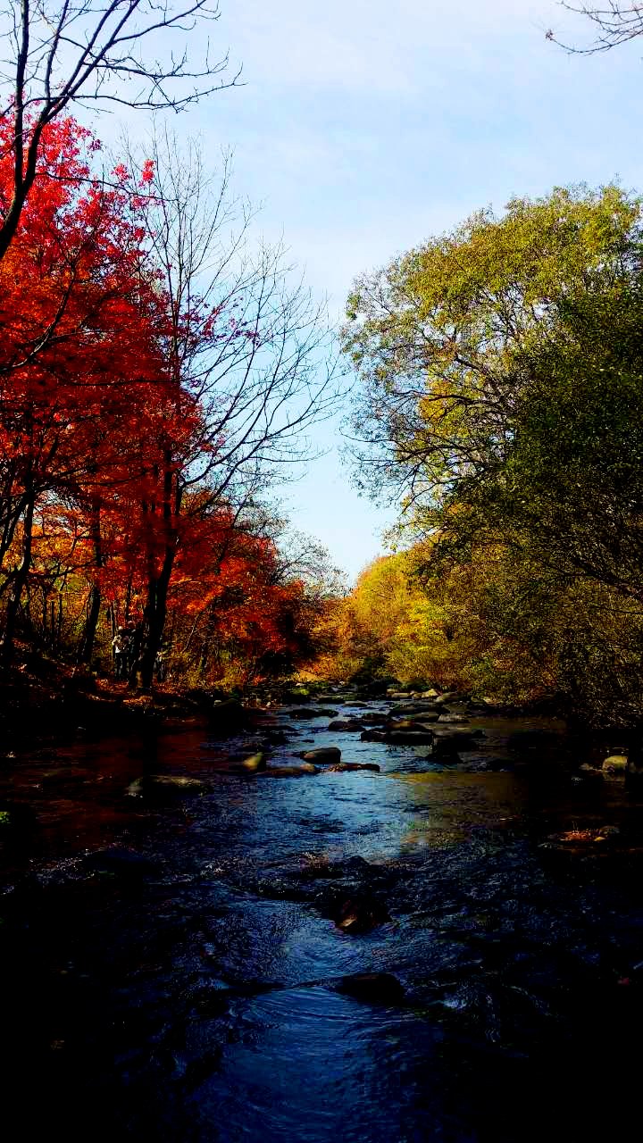 ai日本电影海报