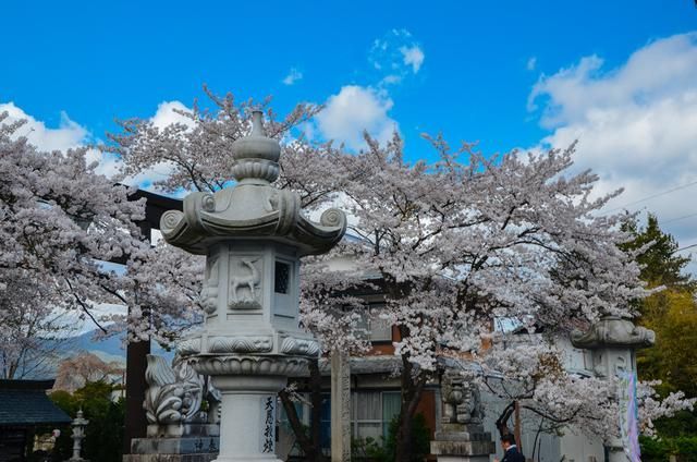 啄木鸟餐厅海报