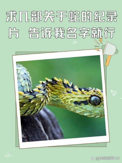 未成年人兒童色情