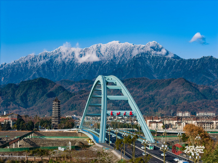 紫色面具在线看海报