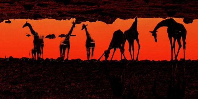 刚高考完的高中生-lovelo 我得解释一下这种状态