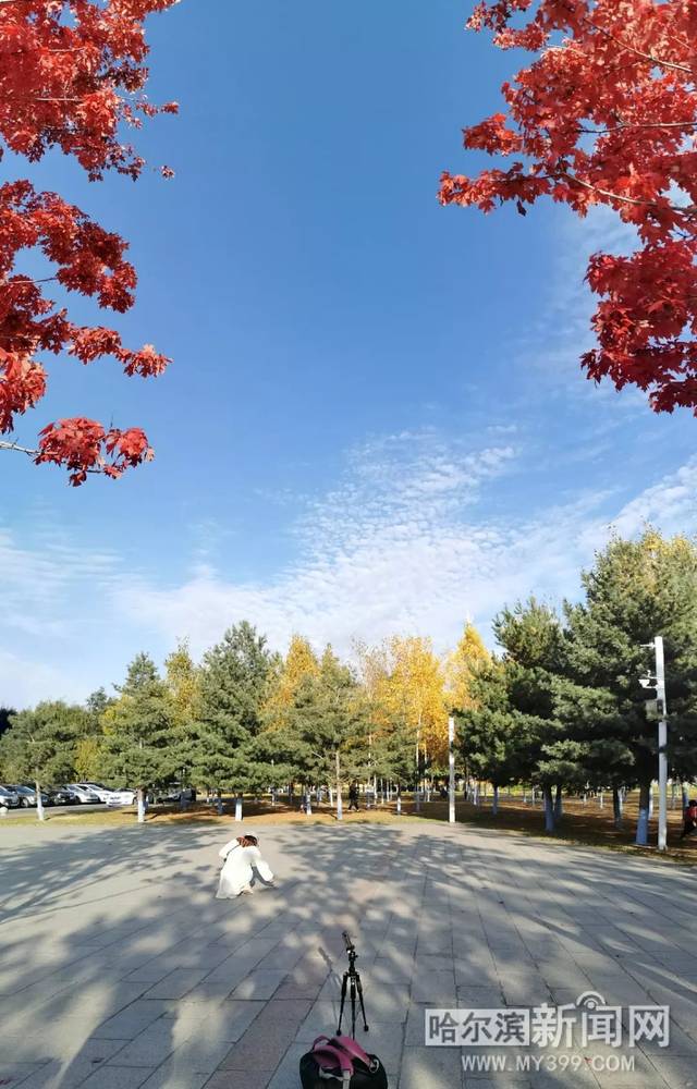 无码国产精品一区二区免费16 还增强了用户参与度